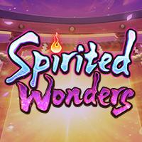 spirit-wondere90e