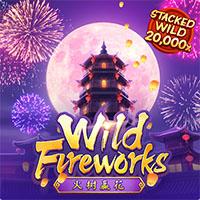 wild-fireworkse90e